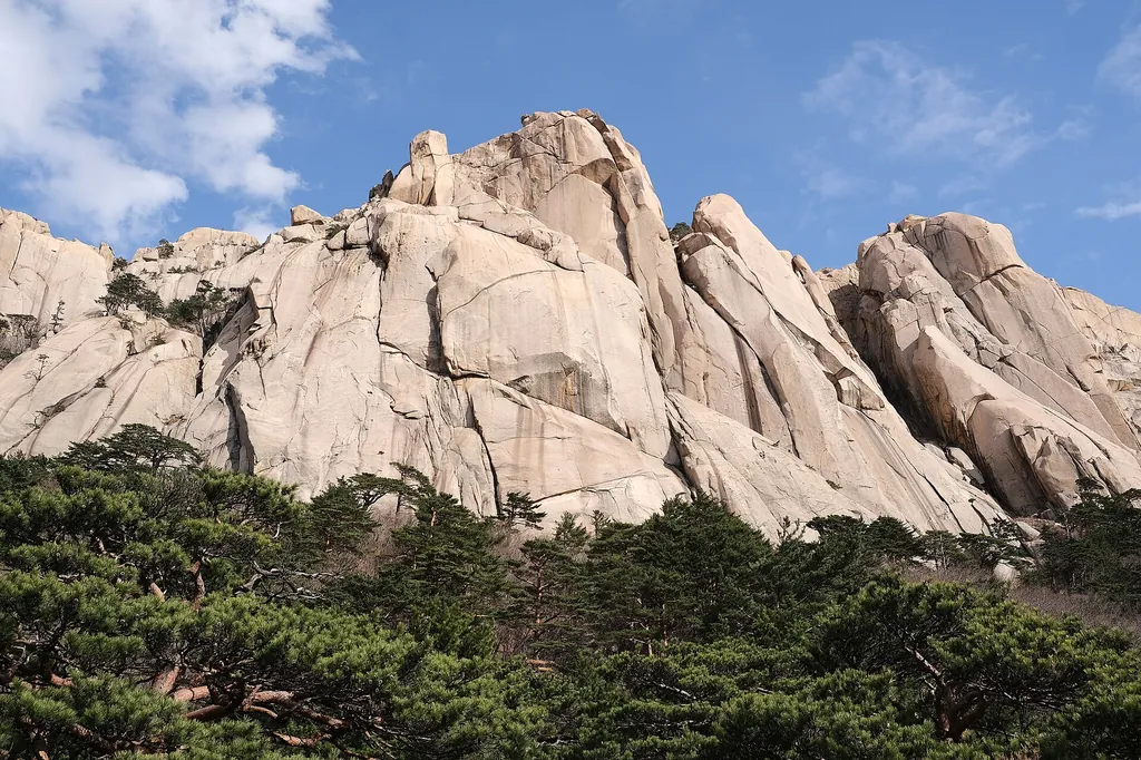 설악산은 케이블카만 타도 한 시간 안에 정상 풍경 봐요. 호캉스에 등산까지 끼우긴 빡빡한데 케이블카는 충분히 가능한 옵션이에요.